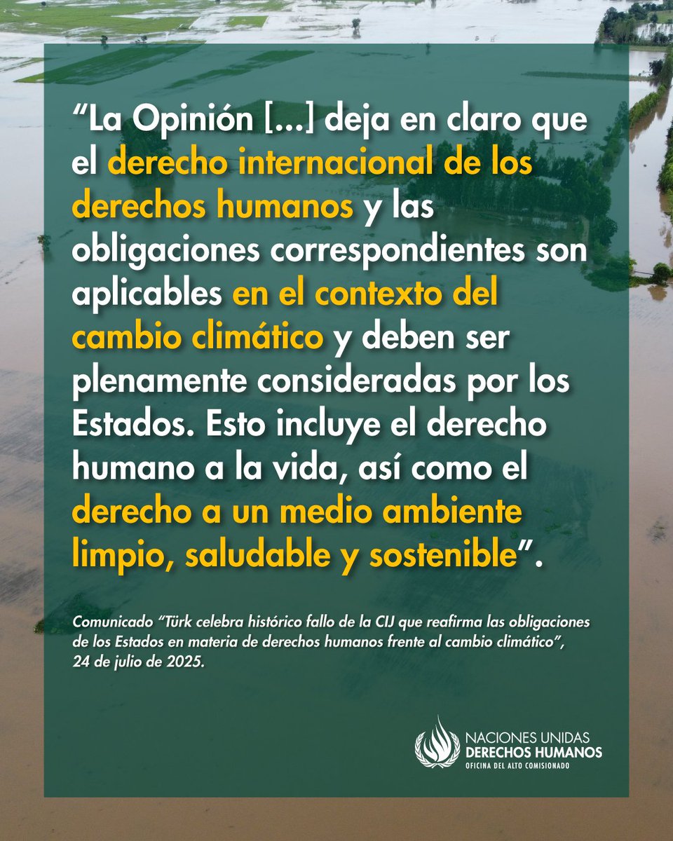ONUDHmexico's tweet image. 🌎🌱 Volker Türk, Alto Comisionado @UNHumanRights, saluda la Opinión Consultiva de la @CIJ_ICJ sobre el #CambioClimático. Es un hito para todas las personas que luchan por proteger un clima y un planeta seguros 🔗 bit.ly/4553Mib
