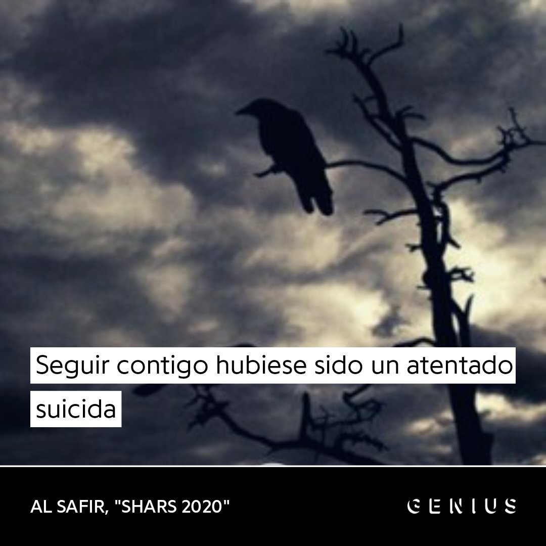 zzzskills's tweet image. 