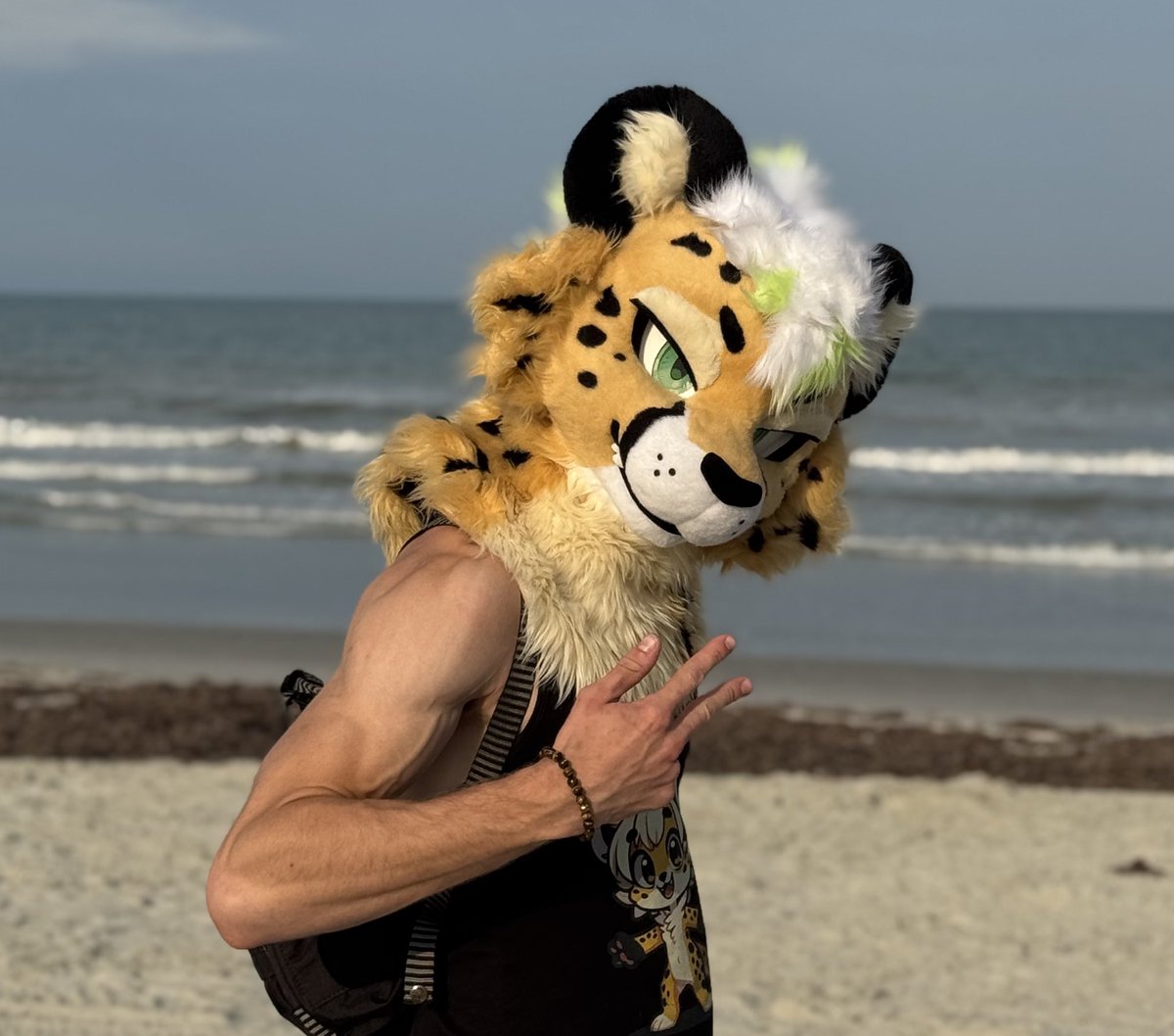 *PSA*
My fellow Taco Bell ambassadors, I know it’s like 9 dollars- but trust the cats creation 🥵 

tacobell.com/food/specialti…