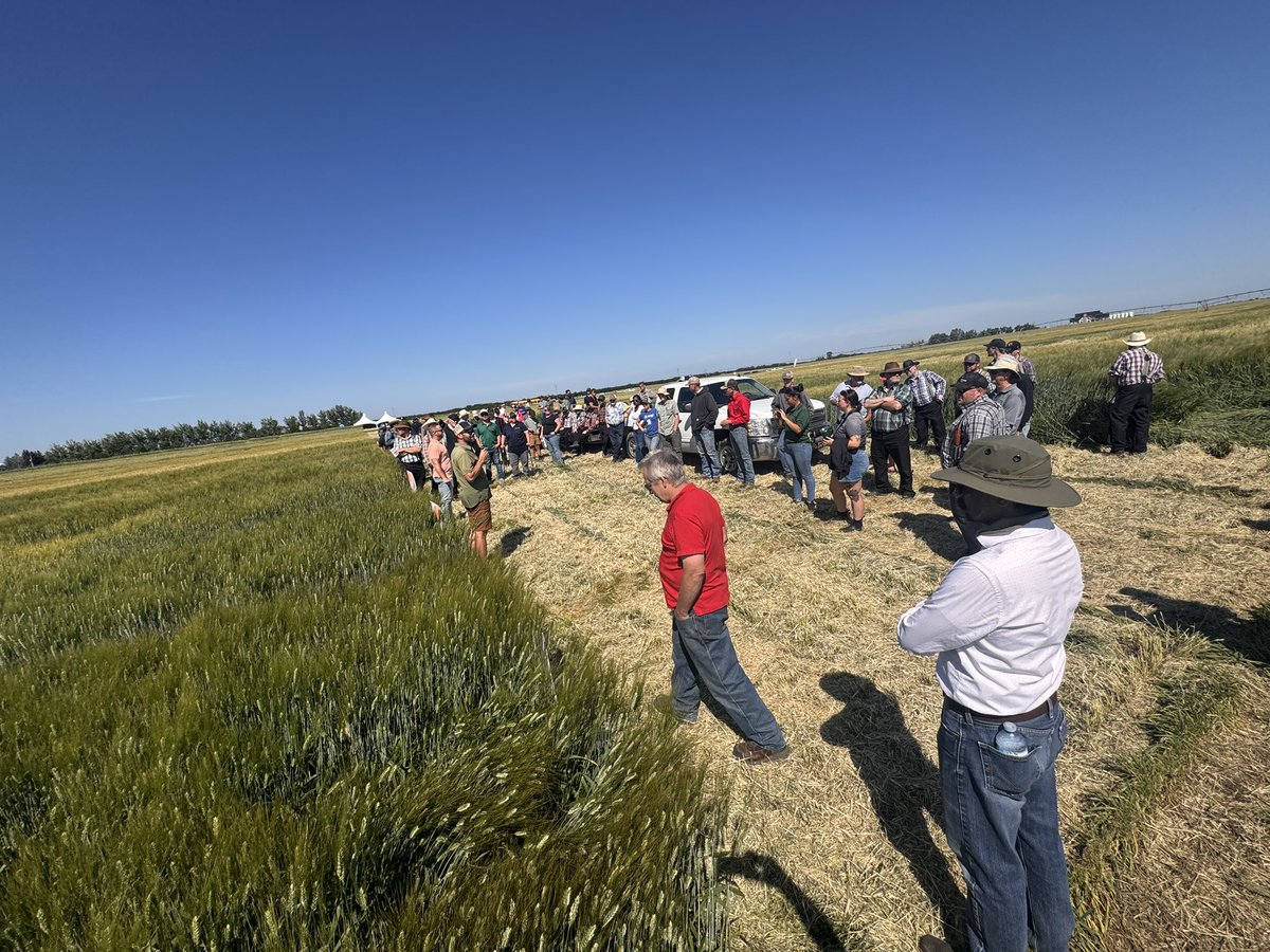 Premium Ag (@premiumag) on Twitter photo Always a day well spent! Thanks <a href="/Stampseeds/">Stamp Seeds 🌱</a> <a href="/stampgreg/">Greg Stamp</a> Very informative. Trical is ALMOST <a href="/blairbalog/">Blair Balog</a> tall! Always a day well spent! Thanks <a href="/Stampseeds/">Stamp Seeds 🌱</a> <a href="/stampgreg/">Greg Stamp</a> Very informative. Trical is ALMOST <a href="/blairbalog/">Blair Balog</a> tall!