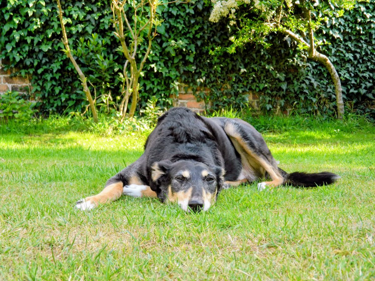 Anyway. Roger and Norman.