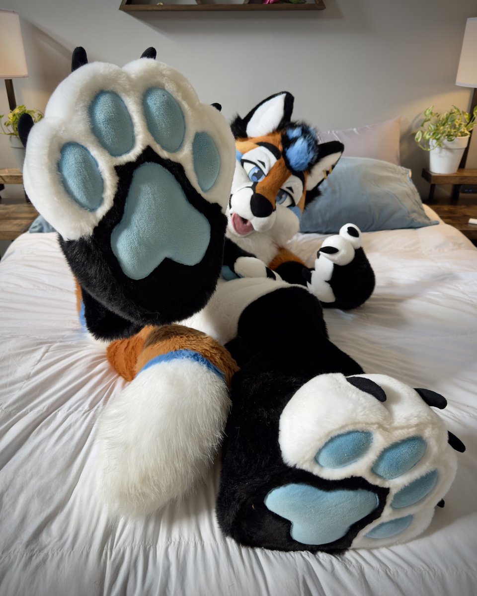 FoxNamedAri's tweet image. Go ahead, wear it out. You know you want to.
