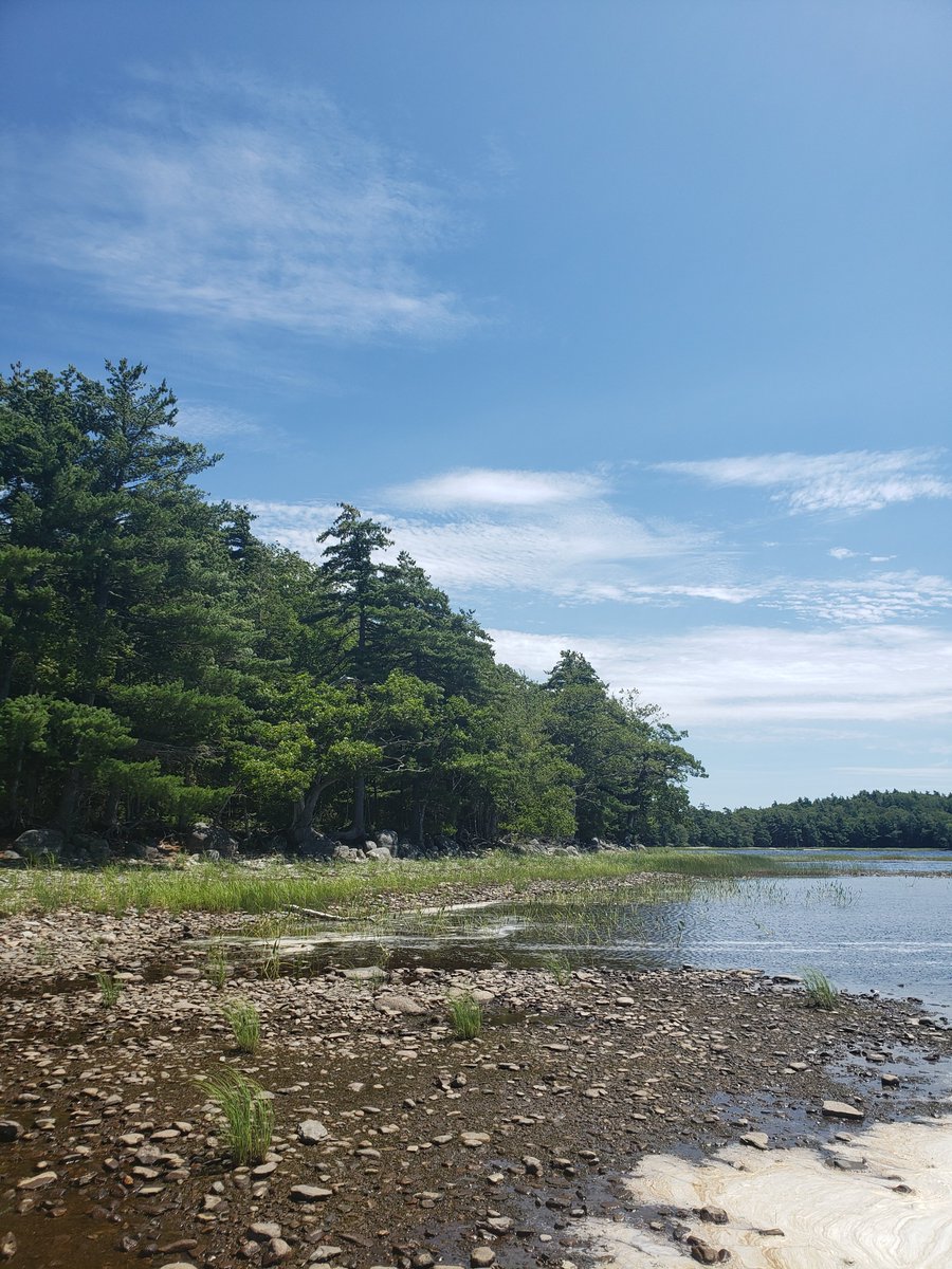 SmithNochasak's tweet image. Keji weaves its magic again. In A CANOER OF SHORELINES, Julie goes to Merrymakedge for healing, accompanied by Laila and Musko. Walking the setting was healing for me.