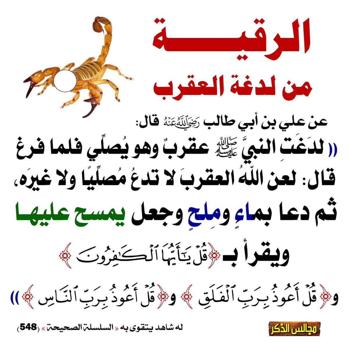 طويلب علم (@m_7d_7) on Twitter photo 