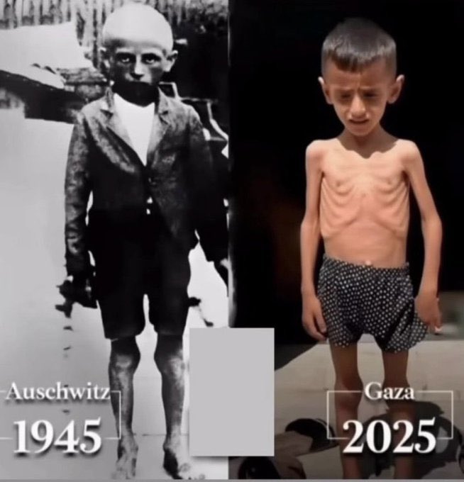 <a href="/netanyahu/">Benjamin Netanyahu - בנימין נתניהו</a> What is the difference between these two genocides?