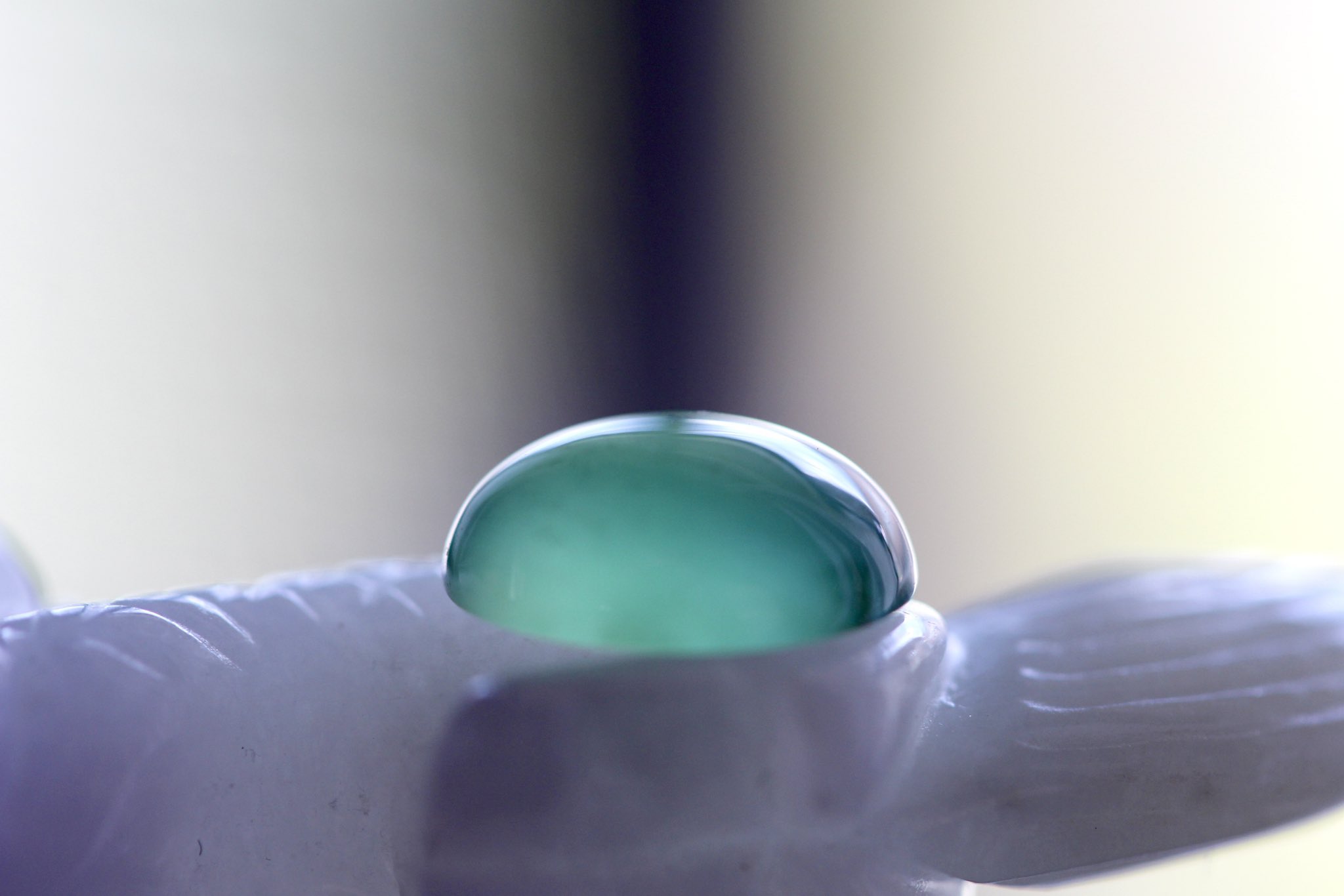 モンステラ・オーレア（Monstera Deliciousa Aurea） モンステラ・オーレア（Monstera Deliciousa Aurea）