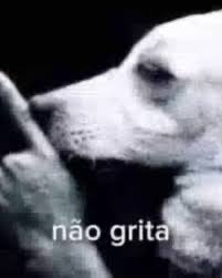 hoje atendi um menino autista de 9 anos, falei que precisa aferir a pressão dele expliquei etc, aí ele “vai doer?” eu “não só aperta um pouco” ele SIMPLESMENTE colocou o dedo na boca e falou “não grita” a mãe dele ficou ??????? aí ele “o meme do cachorro” eu casquetei por dentro