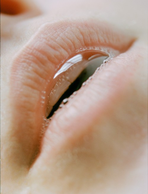 headhort's tweet image. 