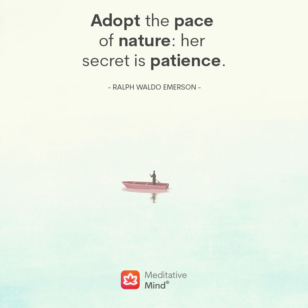 Meditative Mind tweet media