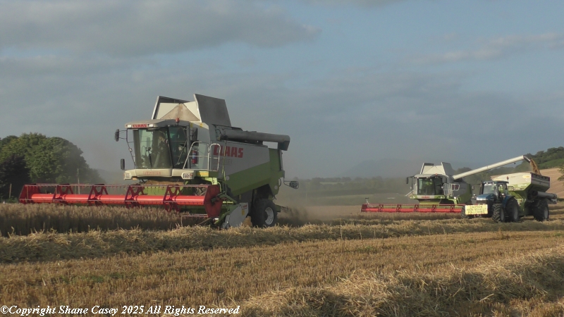 #Harvest2025 Great to get out for a few hours this evening to clear the head before a weekend at work. So of the last Winter Barley being put to the knife this evening in North Cork in ideal conditions. 
#IrishFarming
#IrishAgri
#IrishTillage