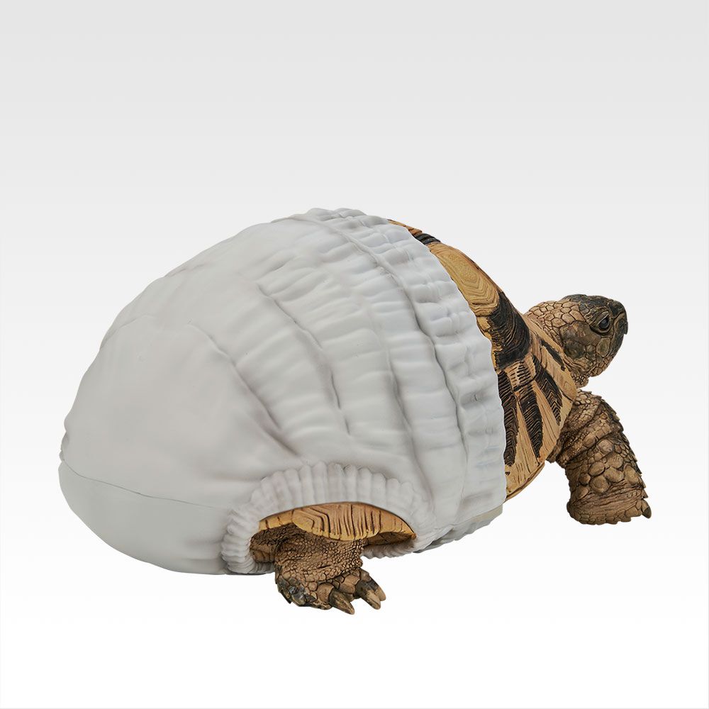 オムツ姿のヘルマンリクガメのフィギュアがかわいい。好評だった一番