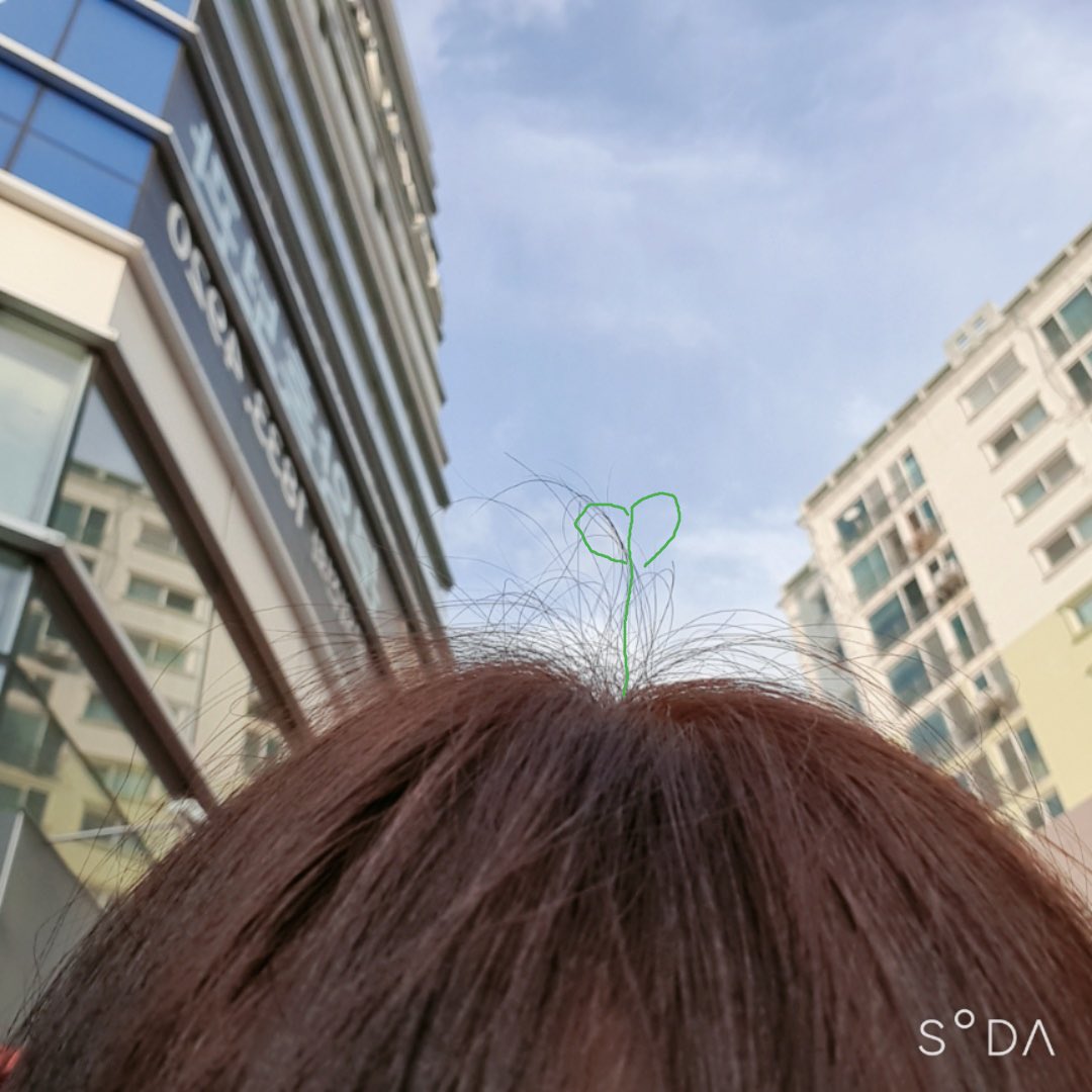 Reve_020's tweet photo. 모두들 새싹이 되길 ⭐️ https://t.co/E0Qp7PgWPh