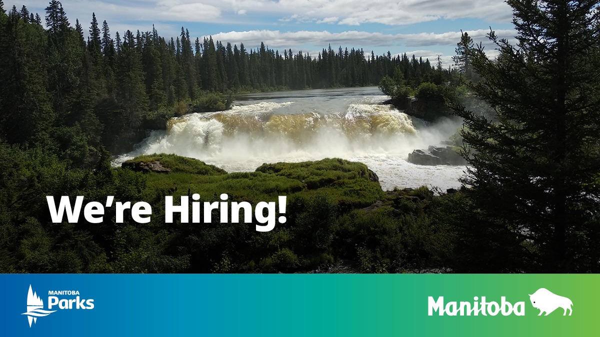 MBGovParks's tweet image. Looking for a new career? We’re recruiting to full-time positions including a Park District Manager (Thompson), Clerks (The Pas and Cranberry Portage) and an Interpretive Specialist (Winnipeg). Details on park job opportunities at bit.ly/3uOwy8m
#ManitobaParks #mbjobs