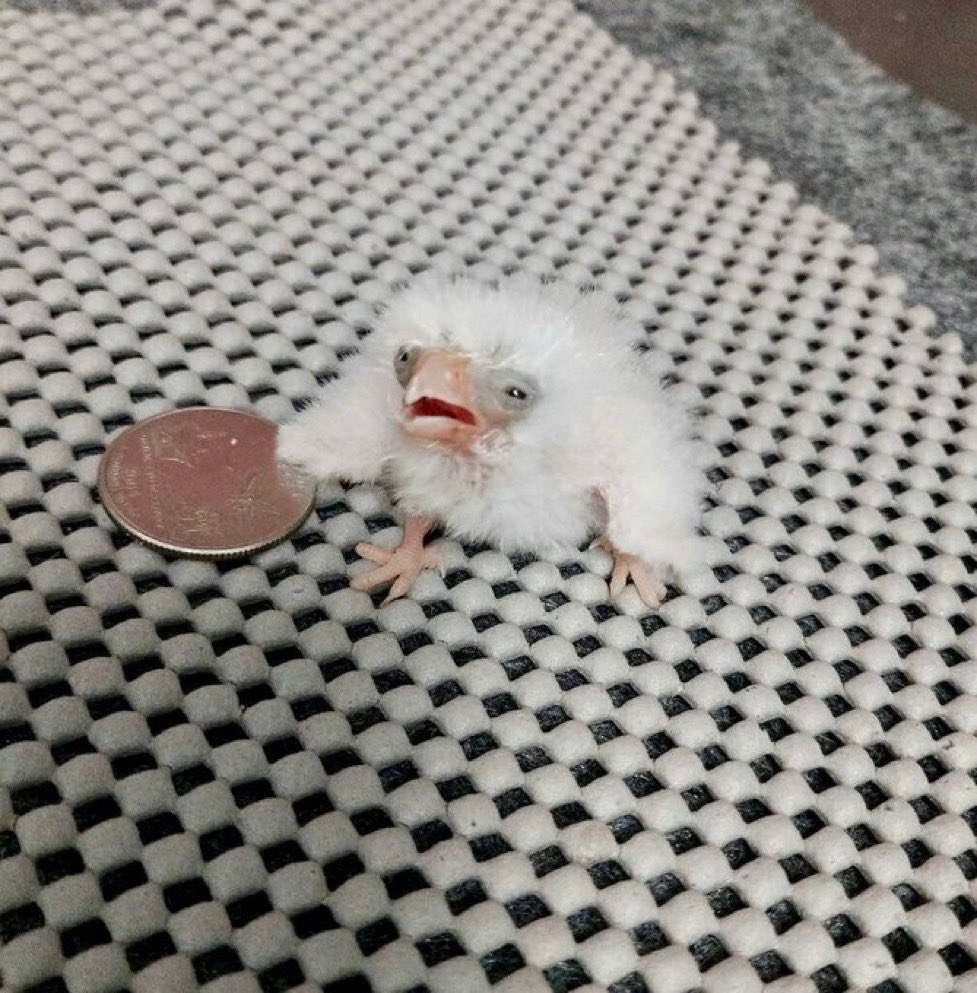 Nvm it’s just a normal Thursday now