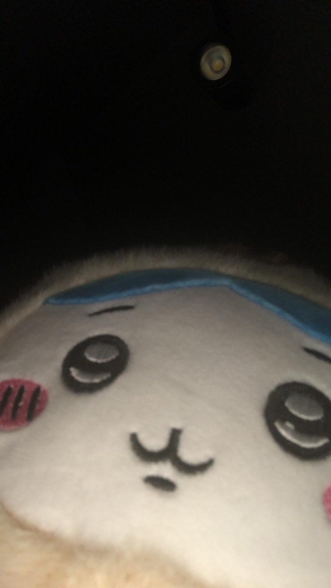 Temmie_da_temm's tweet image. Posting this fuckass image I made under every chiikawa post I see