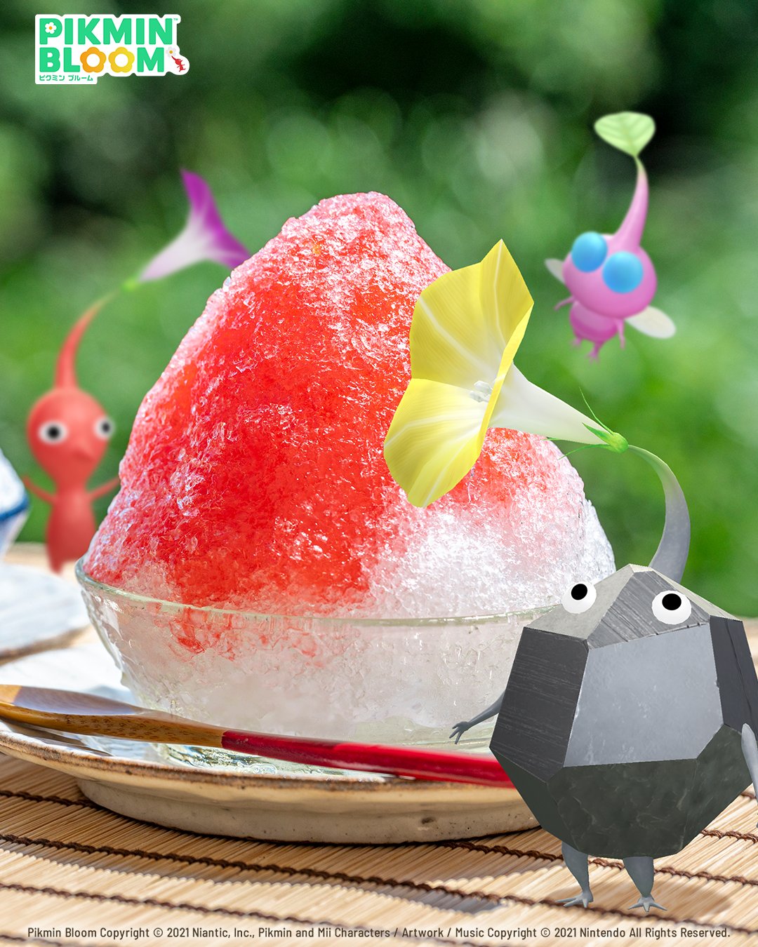 ぴくみんさま専用ページ Pikmin Bloom Japan added a new photo. - Pikmin Bloom Japan
