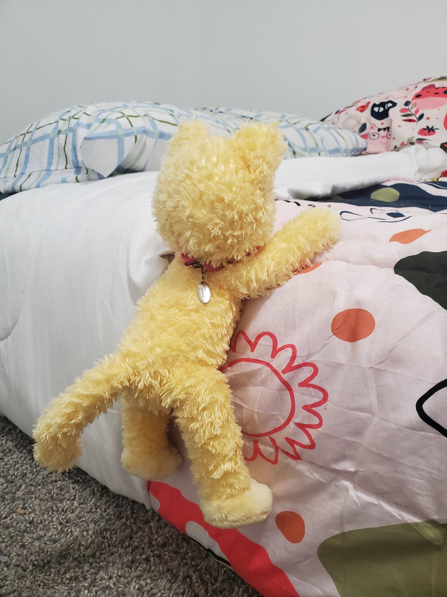 bee_lodi's tweet image. Rosy bedtime 💕🛌