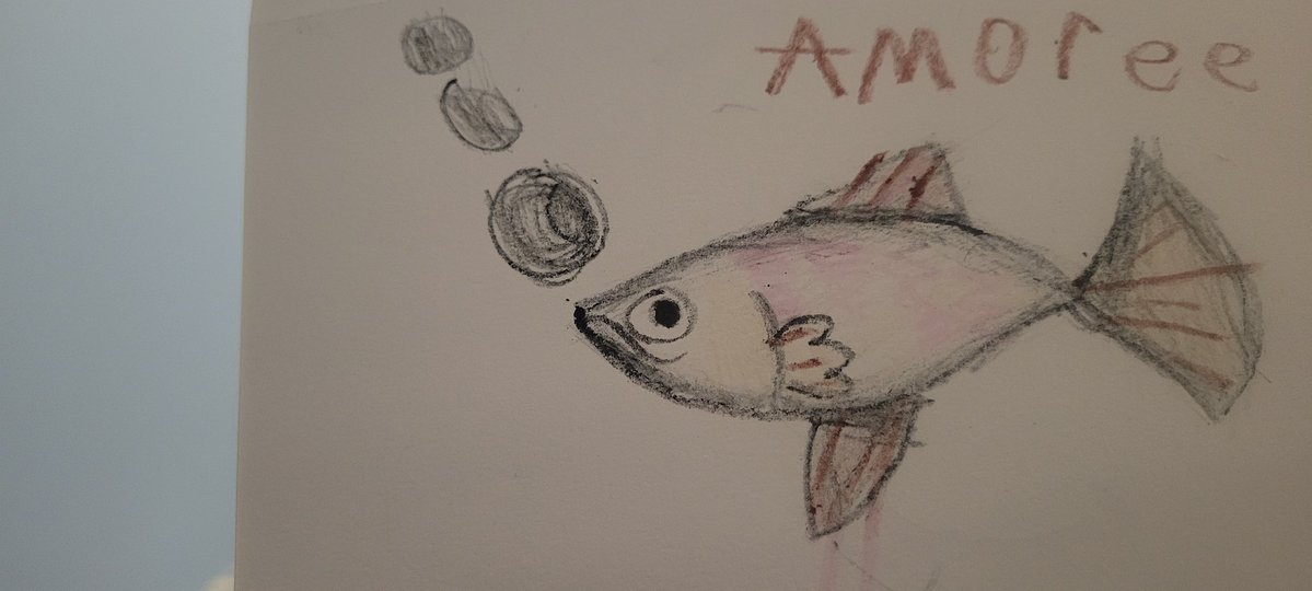 JimmyG2221's tweet image. Amoree bids, all a good night!