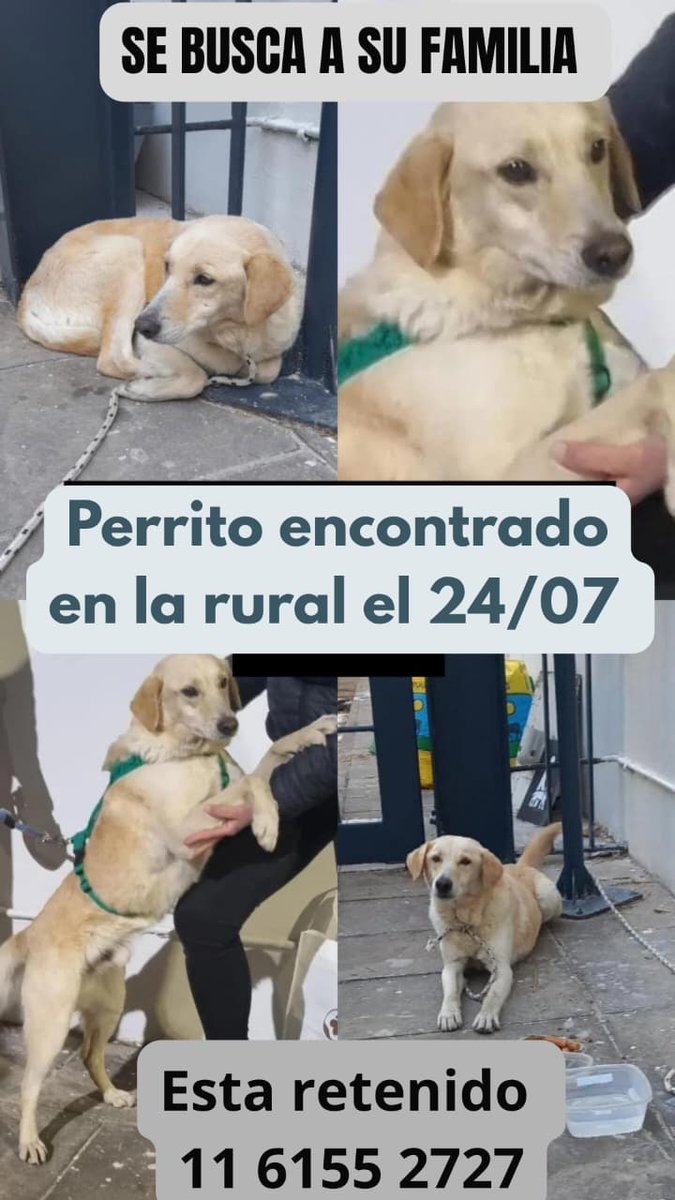 Difundimos