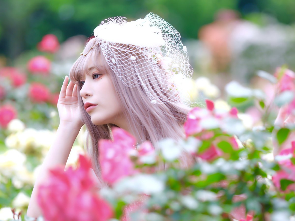りーさま専用ページꕤ…˖* 💔𝙡𝙞𝙡𝙞 𝙗𝙮 𝙎𝙀𝙍𝙄🧠 | 𝙡𝙞𝙣𝙚𝙣 𝙧𝙞𝙗𝙗𝙤𝙣