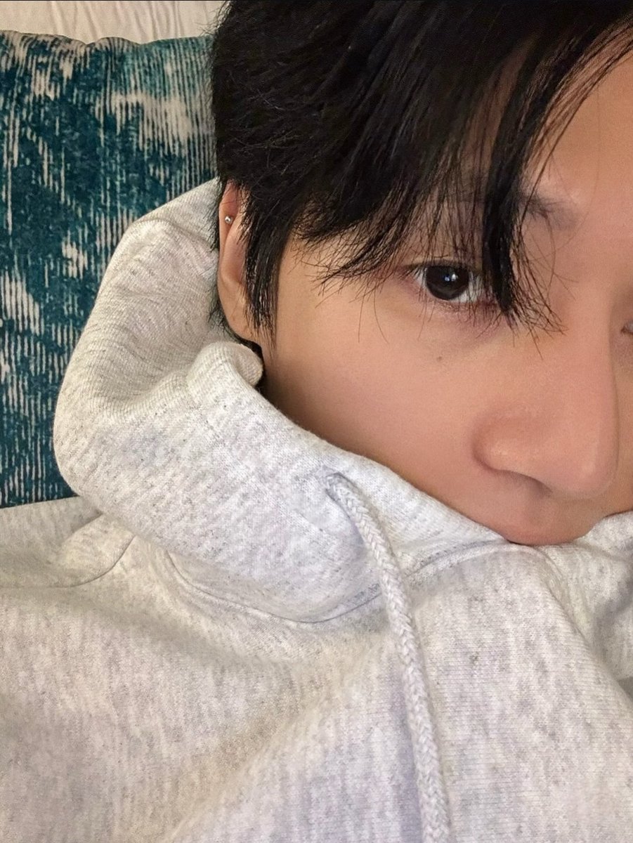 p0ltxrgeist's tweet image. Comfiest fox in the whole world ☺️