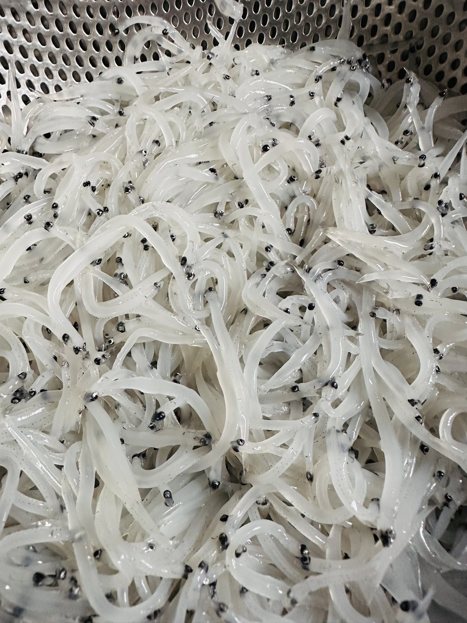 おしらす しらす干し 350g｜店舗で探す,北茨城市商工会｜北茨城の特産品