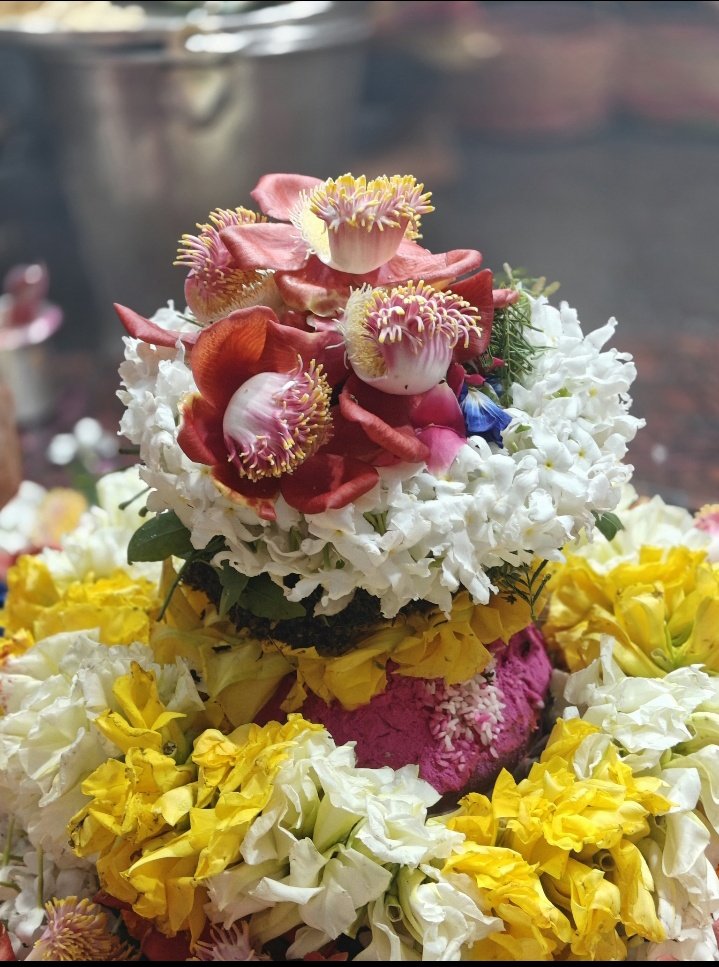 🚩🚩ऊँ नमः शिवाय 🙏🙏
🚩🚩हर हर महादेव 🙏🙏