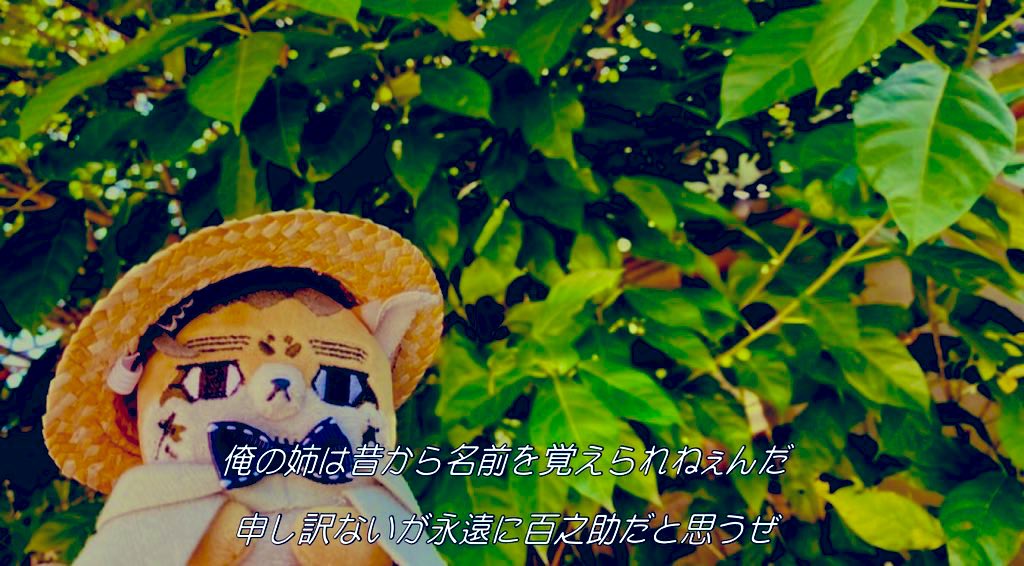 mimik7100's tweet image. 姉に聞いたらチ。の異端審問のノヴァクの名前がカタカナで覚えられず声優さんごと百之助という呼称になってしまった模様