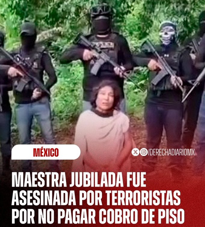 BisouCaramel_'s tweet image. Que impotencia, tus patrones @rocionahle una bola de cobardes, que asesinan mexicanos con tu autorización.