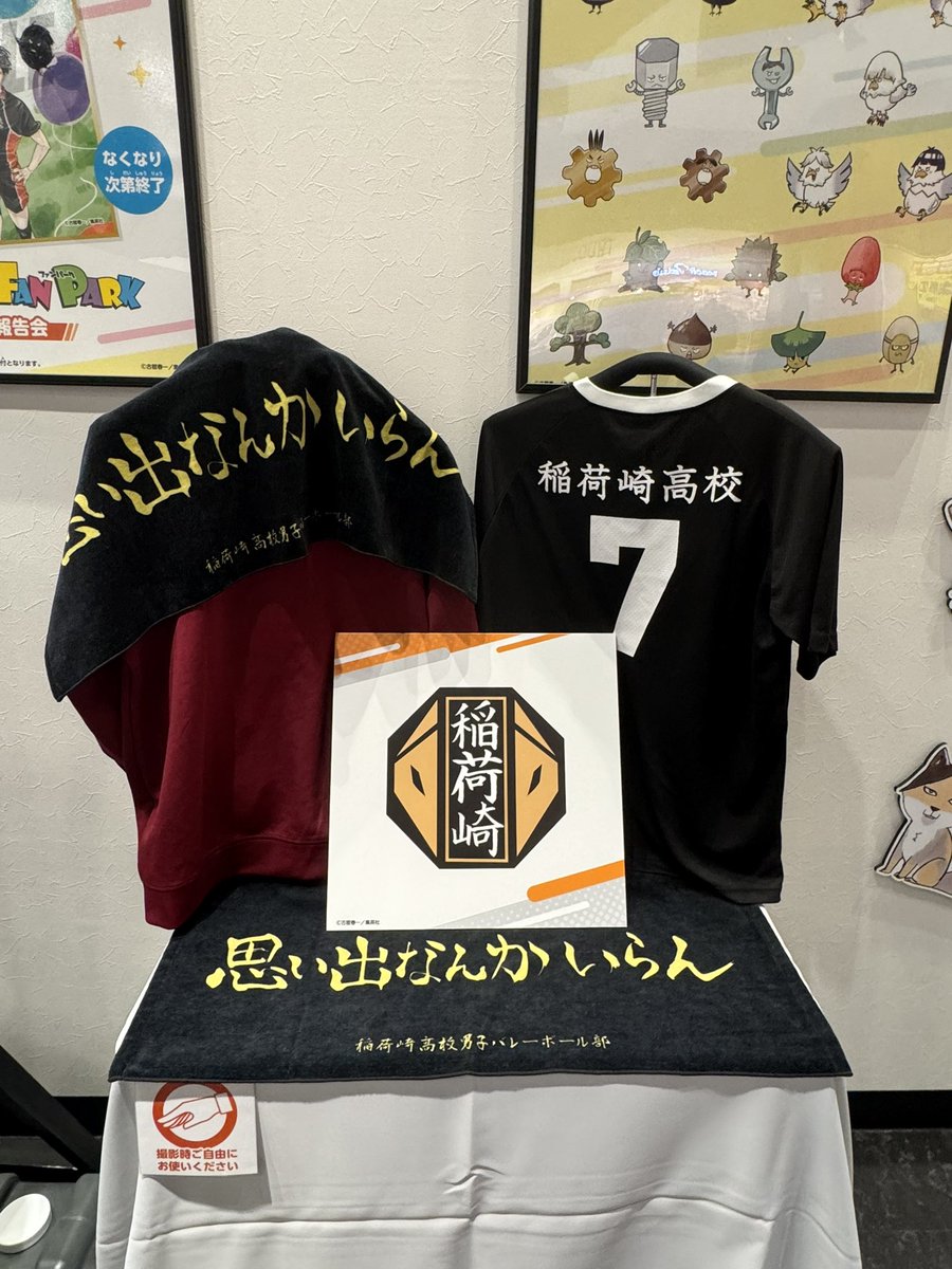 エキスポシティは稲荷崎🦊