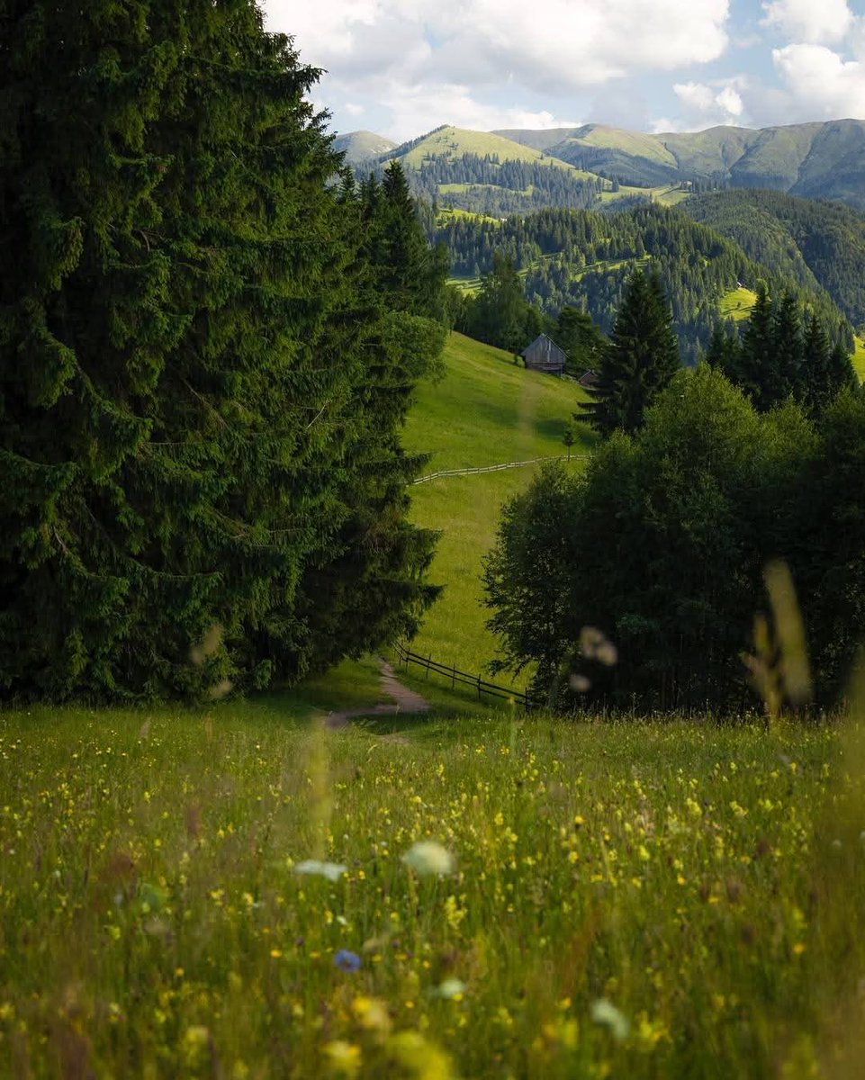 xyzwtf_55's tweet image. Good morning everyone 😊
#photography
#photographer
#brasovcunty 🇷🇴