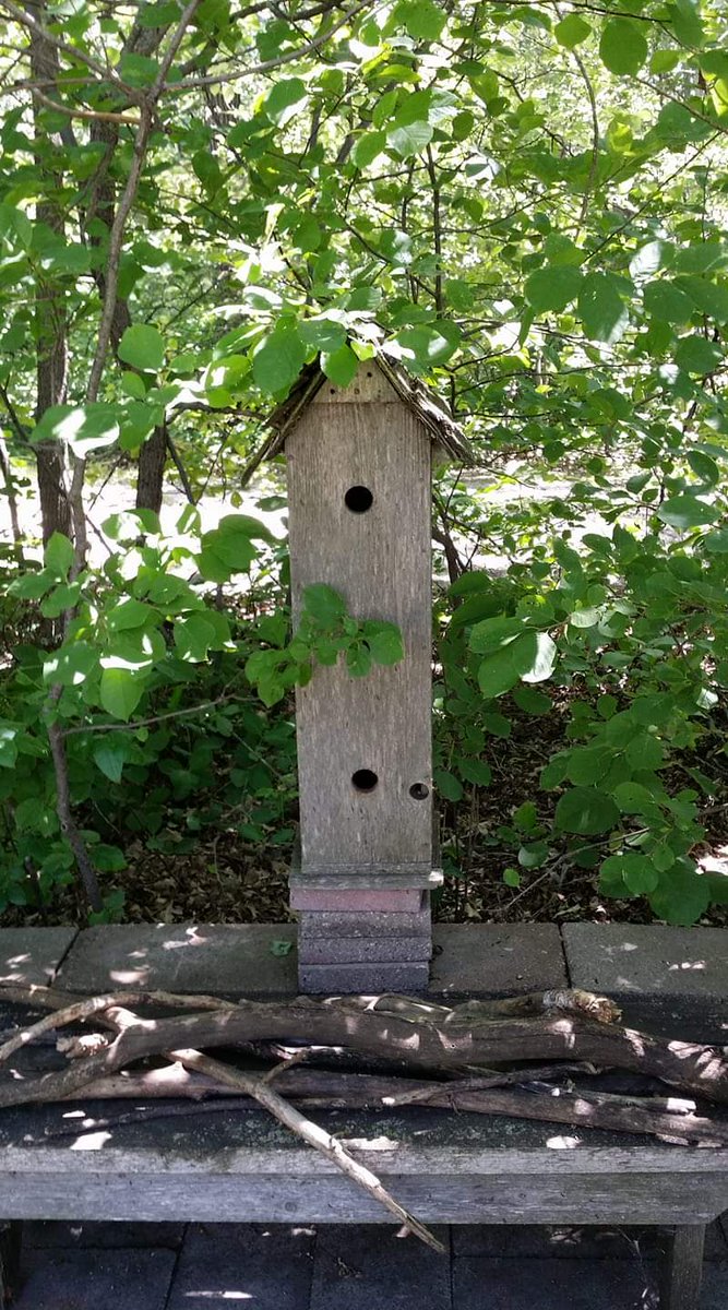 bird condo