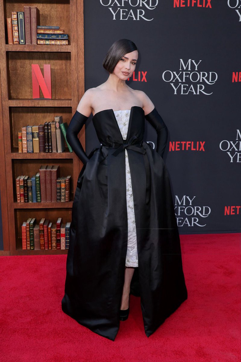 Updates Sofia tweet media