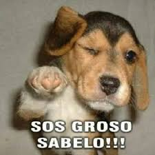 Mendmes1's tweet photo. @CarlosReynosoKC Te quiero mucho KC https://t.co/BrBowHrQVw