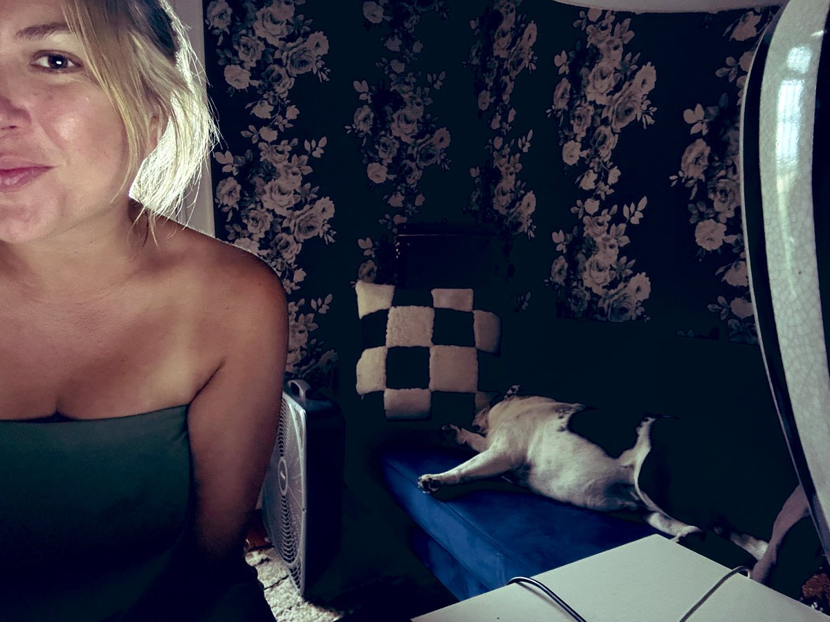 clareifying's tweet image. We don't often get to work @WBEZ from home - but when we do... someone always passes out. #BullDogGloria 💤📻🐾