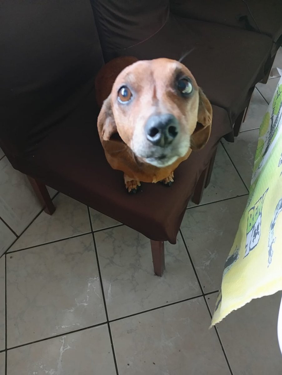 Opa gente, desculpa a demora por atualizações, hoje a léssie fez sua primeira consulta e já marcamos os exames que foram pagos com o dinheiro que arrecadamos, agradeço a todos que deram uma força e peço mais uma vez que ajudem se puderem (algumas fotos recentes dela)