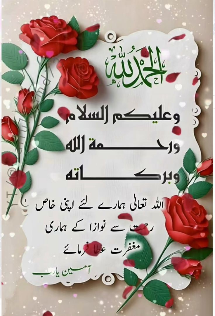 اسلام وعلیکم !
صبح بخیر 🌺
اللہ پاک آپ کی زندگی کے ہر لمحہ کو خیر وعافیت اور خوشی نصیب کرے اور ہمیشہ اپنی رحمتوں، نعمتوں اور برکتوں کے سائے میں رکھے زندگی کے ہر موڑ پر کامیابی اور آسانیاں عطاء فرمائے اور اللہ کے نگہبان فرشتے ہر وقت ہر جگہ آپ کی حفاظت کریں 
جمعتہ المبارک 
#X_promo