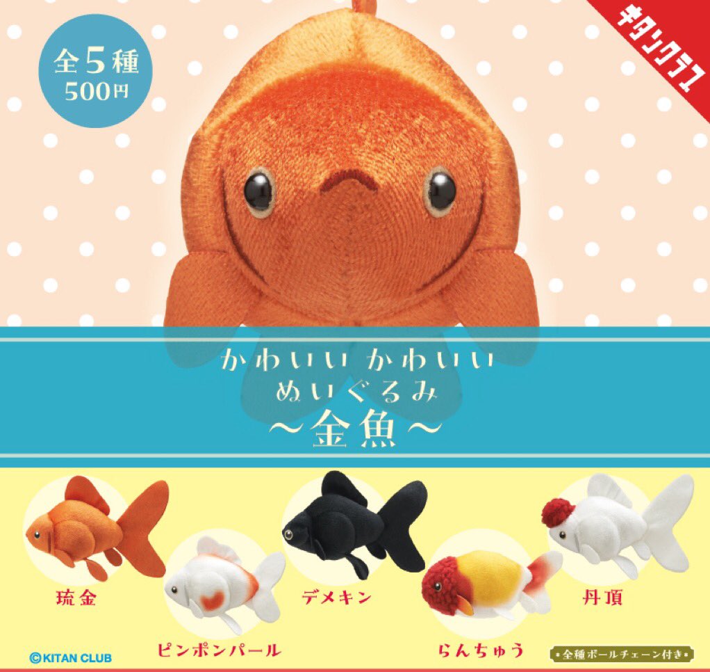Bokura_link's tweet image. 🐟新入荷🐟
キタンクラブ
かわいい かわいい ぬいぐるみ 〜金魚〜
全5種1回500円
・琉金
・ピンポンパール
・デメキン
・らんちゅう
・丹頂