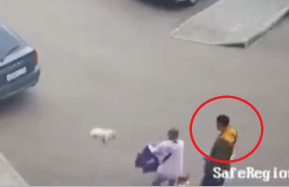 gbbbsjp's tweet image. 【ロシア】女性との口論の末、犬を蹴った男に非難殺到　住民らは刑事責任を要求 - re-file.com/44/4963/