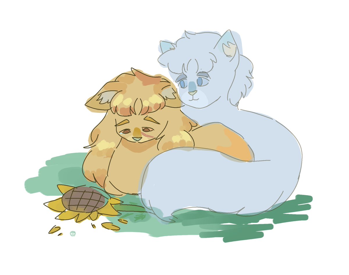 Wimple_pencil's tweet image. #Jonawagonweek2025 #jonawagon
Day5——花语
向日葵寓意:至死不渝的忠诚、奉献、崇敬、无条件的爱