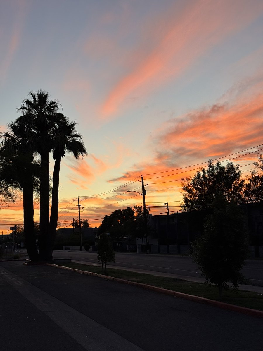 PlumpFun's tweet image. Paved paradise and put up a parking lot .