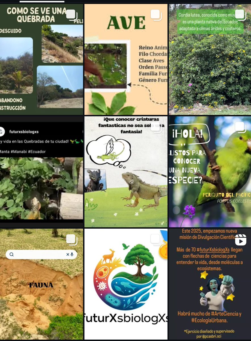 Patricia (Pat) Castillo-Briceno π©π½βπ¬πβππ (@pcasbri) on Twitter photo #EcosistemasUrbanos AquΓ la biodiversidad en la Quebrada de <a href="/UleamEcuador/">Uleam Ecuador</a> en #Manta
Aves, reptiles, mariposas, flores y #futurXsbiologXs , todo aquΓ βΆοΈ
instagram.com/p/DMgjFekydyw/β¦ #EcosistemasUrbanos AquΓ la biodiversidad en la Quebrada de <a href="/UleamEcuador/">Uleam Ecuador</a> en #Manta
Aves, reptiles, mariposas, flores y #futurXsbiologXs , todo aquΓ βΆοΈ
instagram.com/p/DMgjFekydyw/β¦