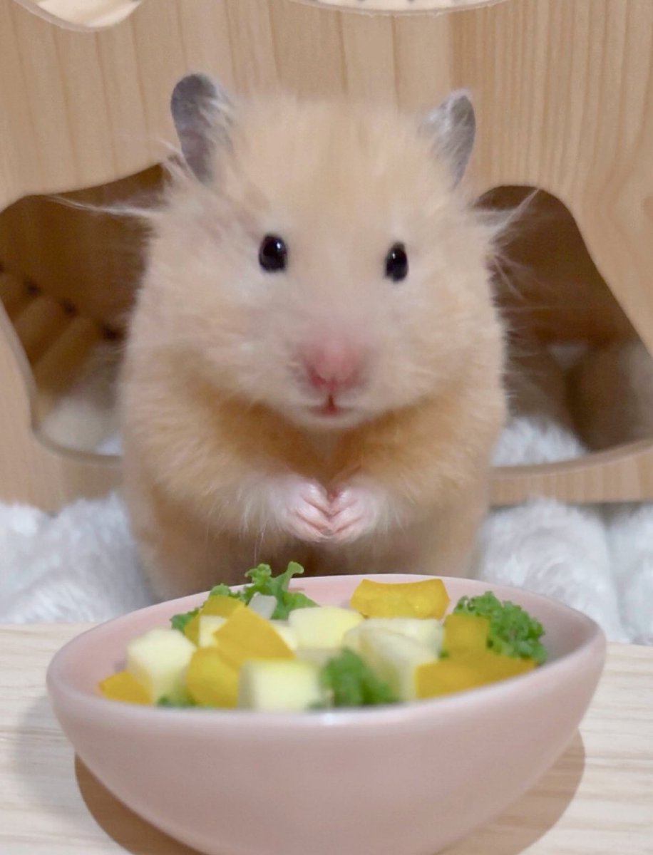 o3o2_sss's tweet image. 