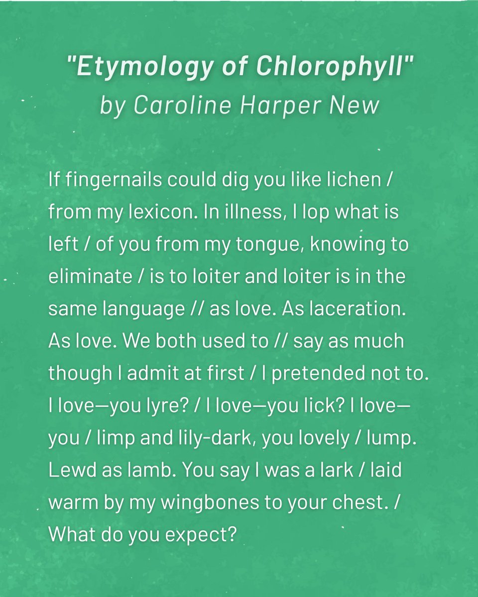 BLReview's tweet image. BLR's Weekly Read newsletter brings you one outstanding story, poem, or essay from our archive. 📖
This week's read is "Etymology of Chlorophyll" by Caroline Harper New, which won BLR's John & Eileen Allman Prize for Poetry in 2023, selected by judge Phillip B. Williams. ✨