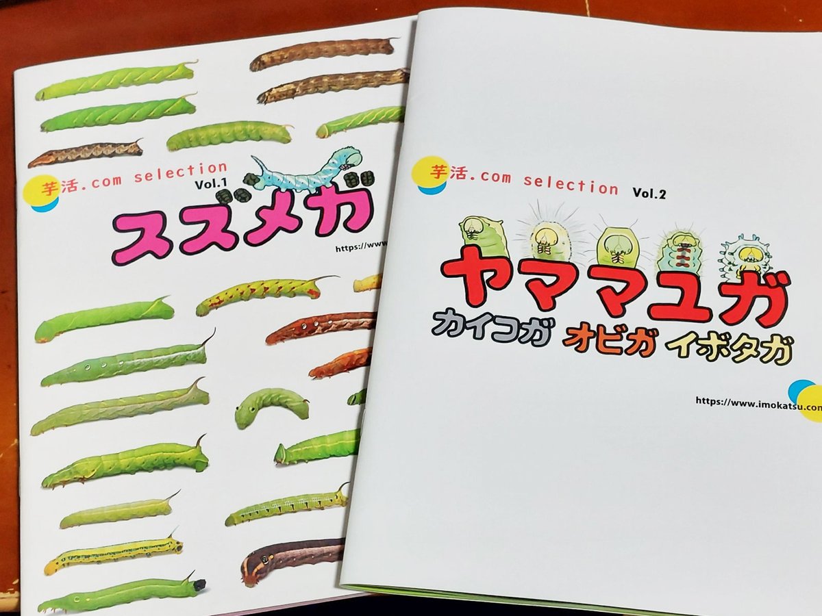 torukawabe's tweet image. 姪っ子に『スズメガ本』や『ヤママユ本』の立ち位置を説明するのに「小冊子」とか「同人誌的」と言ってもあんまりピンと来てくれないのに、「ZINEの一種」と言ったとたんに0.5秒でわかってくれて時代だなあと思った。