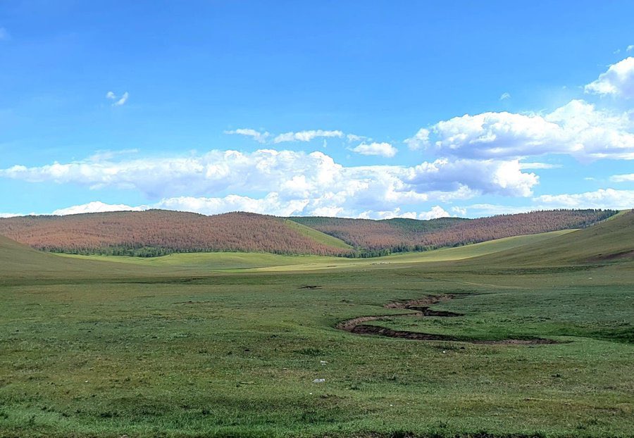 Архангайн ой хортондоо идэгдээд дуусчээ😨
Энэ мэнэндээ анхаараасай, ямар ч хөгжилгүй баахан 100 жил хийхээс ичээсэй🤮