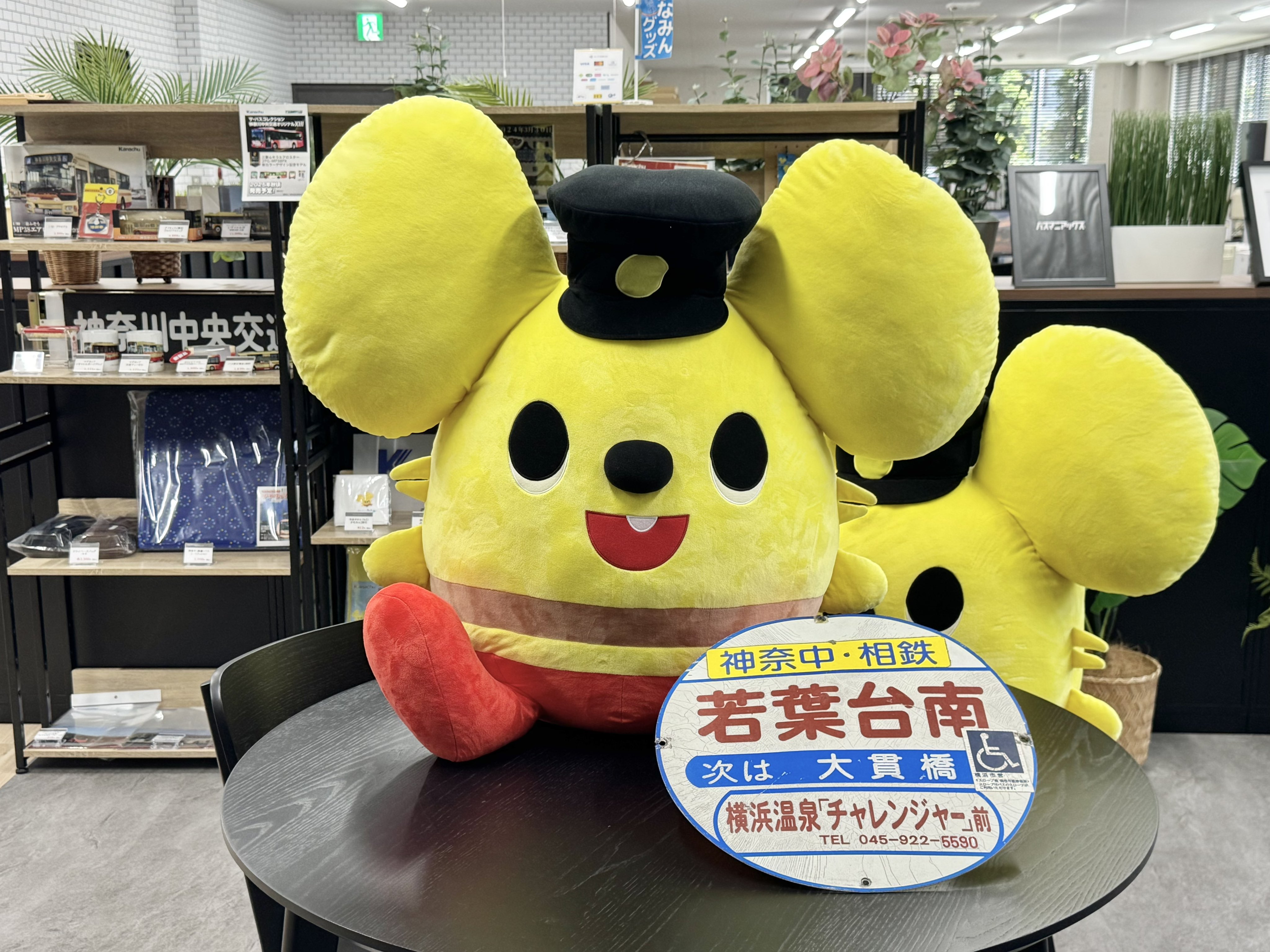 しらたま様　オーダー しらたまあんこ (@Oktaviaapricots) / X