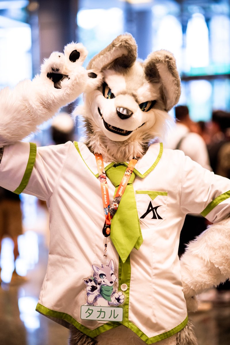 a82102111's tweet image. 休みが近づくにつれて、どんどん元気になってきた！👀✨
#UTFG2025
#FursuitFriday
📷 ： @wolfroof