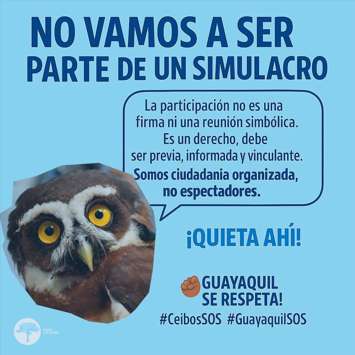 🥁🥁🥁

¿Por qué no fuimos a la reunión sobre el paso a desnivel en Ceibos?

Aquí la historia 👇🏼