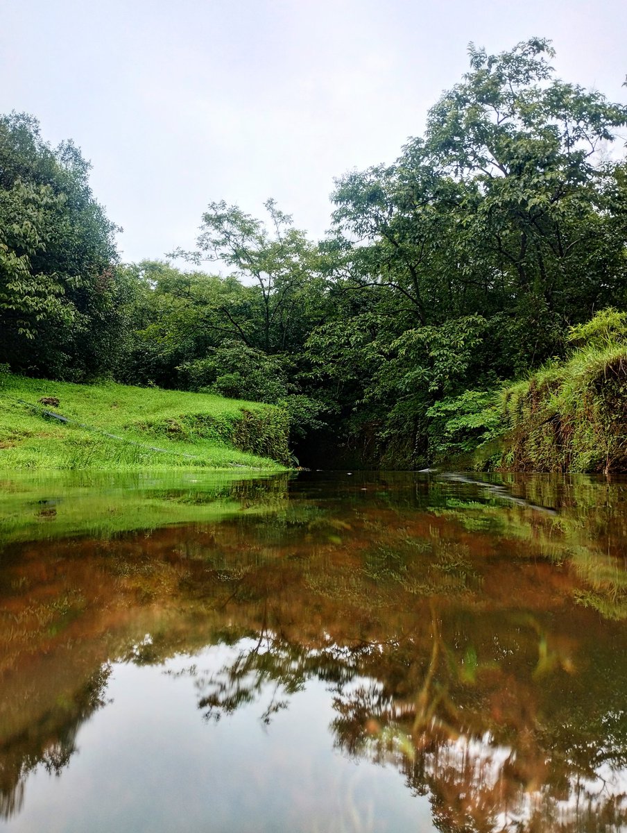 researchanand's tweet image. Life is only a reflection of what we allow ourselves to see..
#travelwithanand